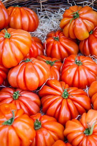 Tomato- Brandywine Seed Packets