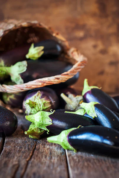 Egg Plant- Black Beauty Seeds