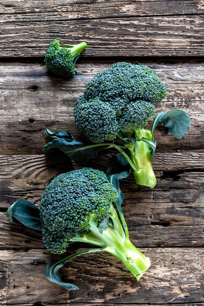 Broccoli- Green Sprouting Seed Packets