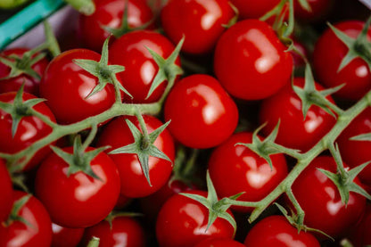 Tomato- Cherry Seed Packets