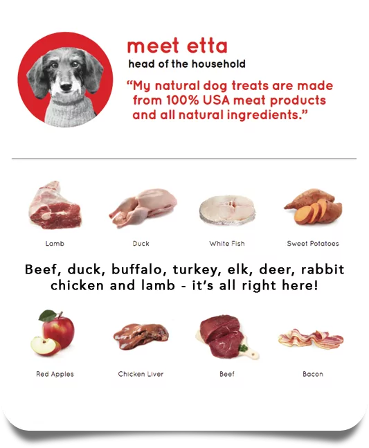 Etta Says! Yumm Stick Soft Dog Treat - Beef