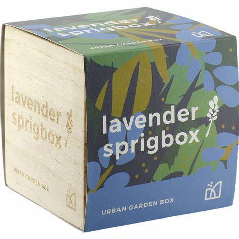 Springbox Grow Kit - Lavender