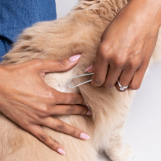 Tick Removal Tweezer